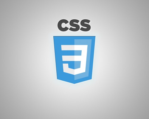 css3